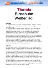 Blässhuhn - Weißer Hai.pdf